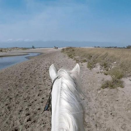 "Le Nature" Camargue Jardin Arles Dış mekan fotoğraf