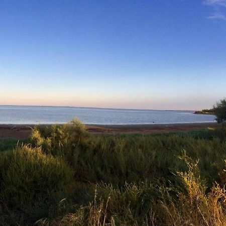"Le Nature" Camargue Jardin Arles Dış mekan fotoğraf