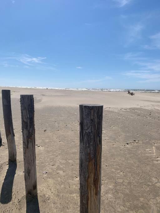 "Le Nature" Camargue Jardin Arles Dış mekan fotoğraf