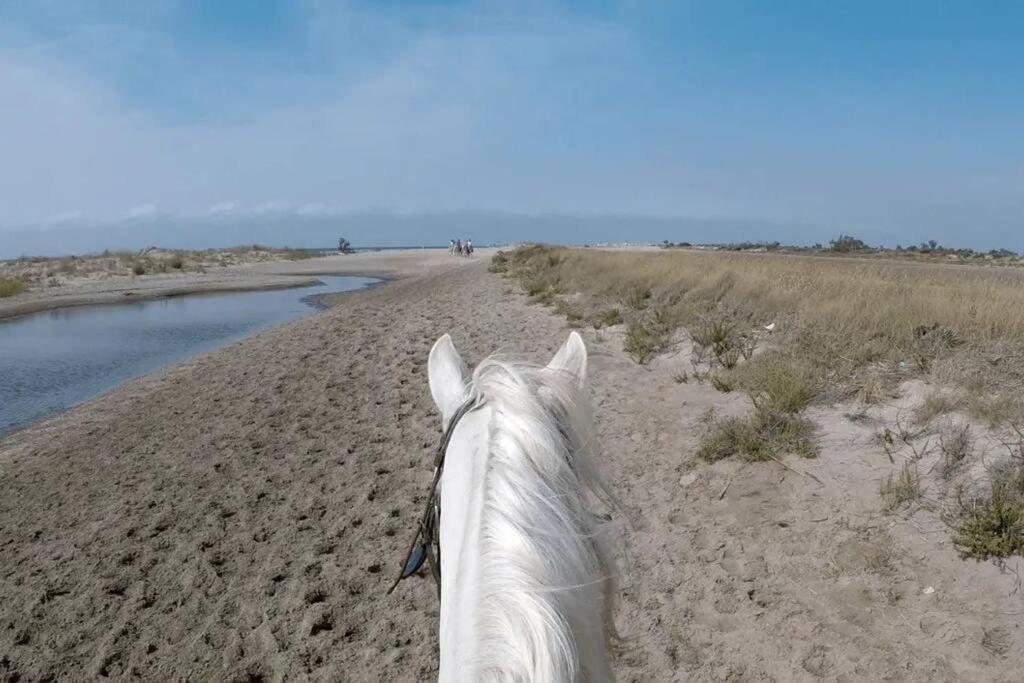 "Le Nature" Camargue Jardin Arles Dış mekan fotoğraf