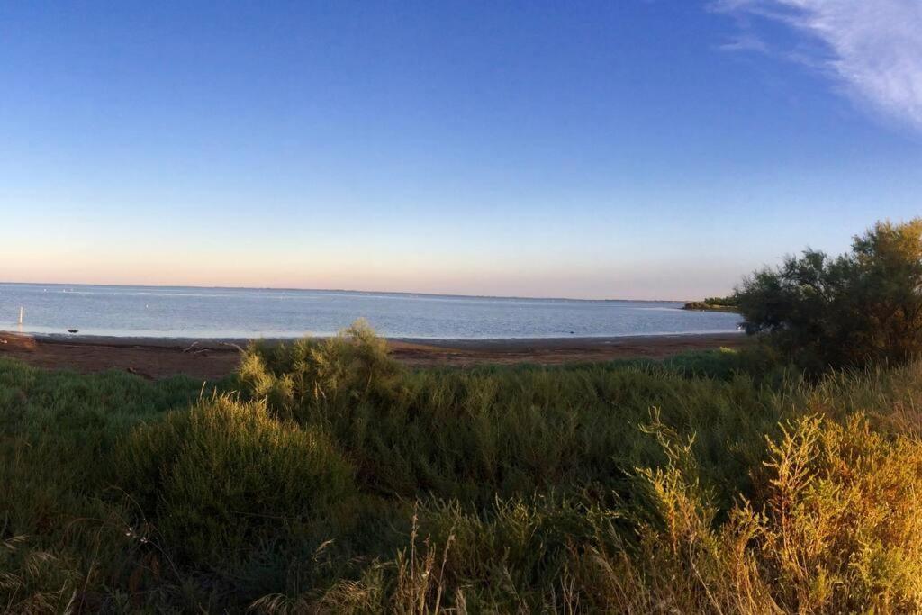 "Le Nature" Camargue Jardin Arles Dış mekan fotoğraf