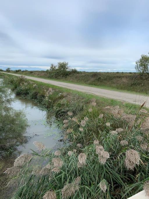 "Le Nature" Camargue Jardin Arles Dış mekan fotoğraf